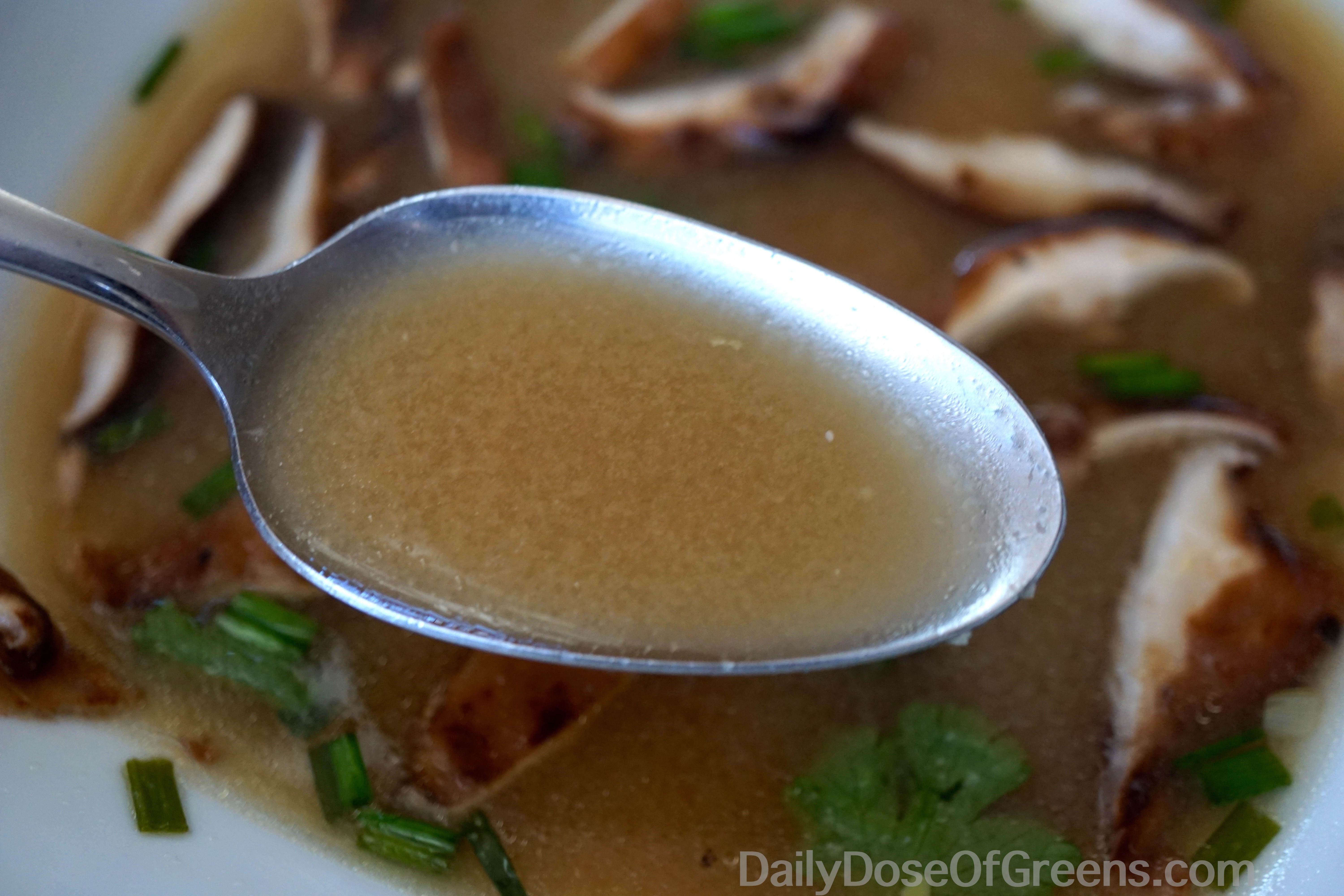 If you're really nauseated, you might want to just make the broth and leave out the mushrooms, bamboo shoots, and greens.